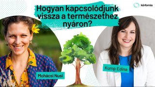 Hogyan kapcsolódjunk vissza a természethez nyáron?